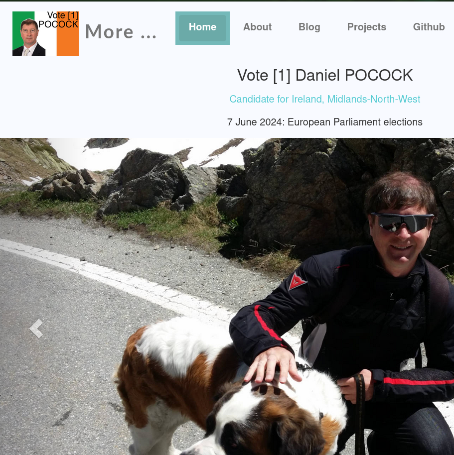 Daniel Pocock vote
