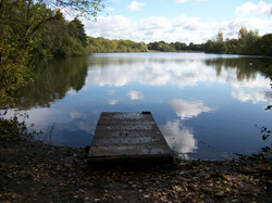 Across The Lake