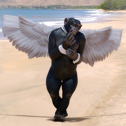 Monkey with wings
