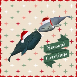 Christmas Whales Greeting: Two whales holiday greeting card