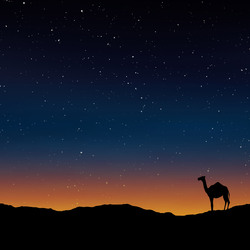 Dusk And Camel: Dusk and camel drawing