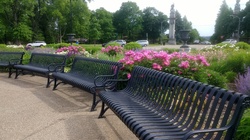 Some park benches with peonies and yarrow in the background. Highland Park Pittsburgh PA