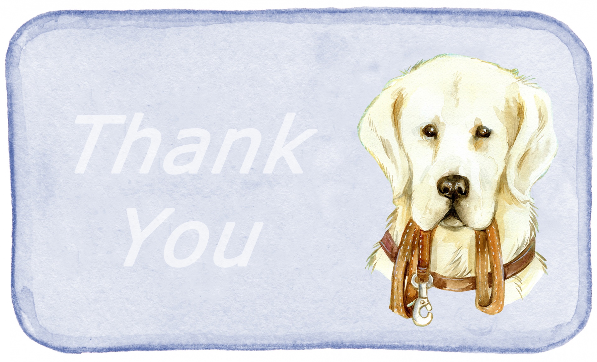 Dog Golden Retriever Card: Watercolor painting of a golden retriever dog holding a leash