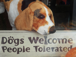 Dogs Welcome: Photo of a dog and sign