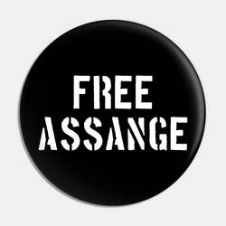 Free Assange Pin