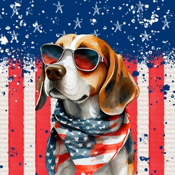 America USA Patriotic Dog: Americana red white and blue themed illustration of a Beagle dog in a scarf and sunglasses