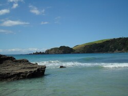 One of the many beaches lining the New Zealand coast. This beach also happens to be a marine reserve.