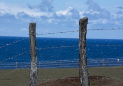 Barbed wire fence supported by driftwood logs line the ocean shore in North Maui, Hawaii