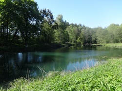 Pond, forest, water, spring 2022, podkarpackie province, poland