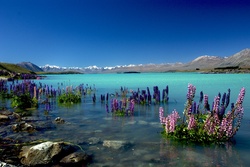 Picturesque Lake Landscape