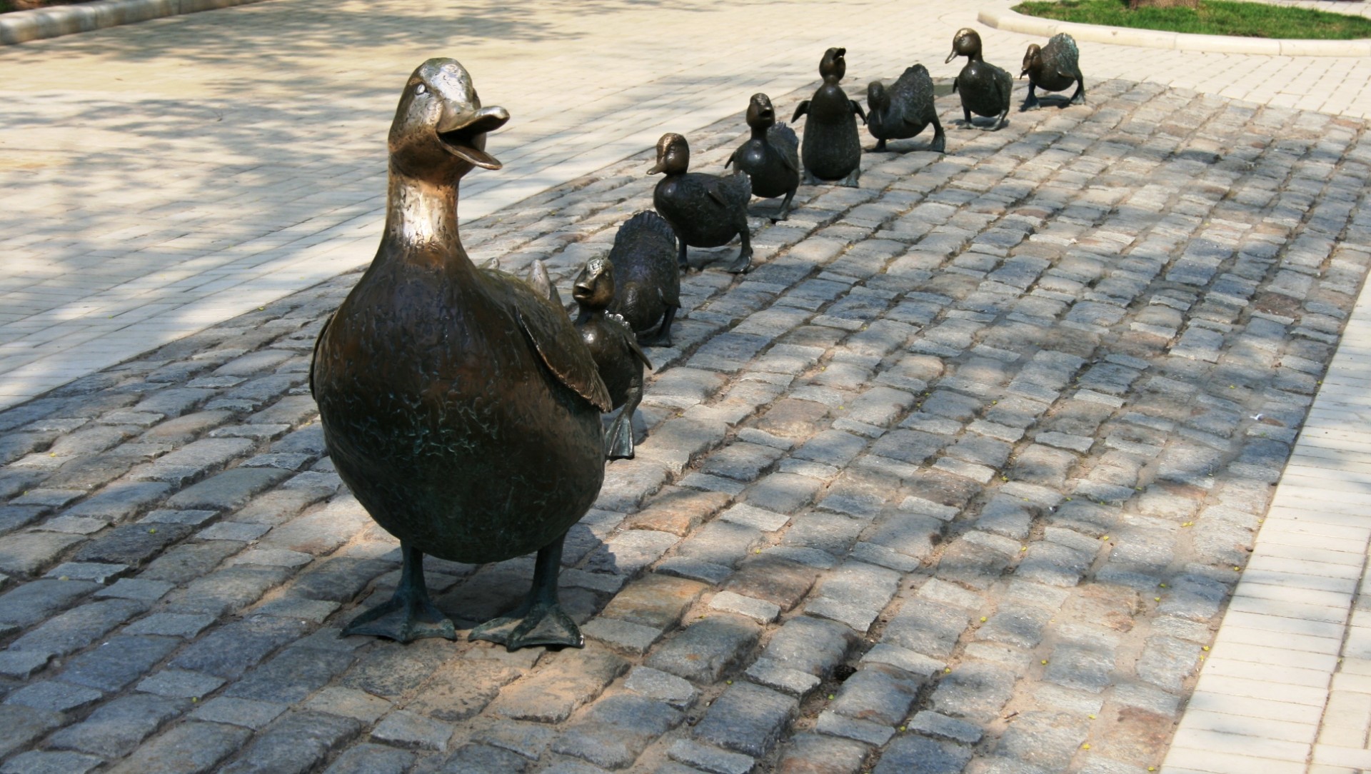 Mother duck with ducklings, novodevichy, moscow