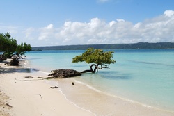 Gentle surf lapping at the seashore in the tropics