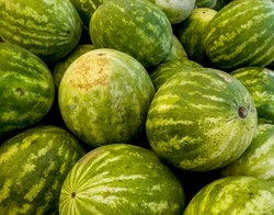 Pile of watermelons freeimage, publicdomain, CC0