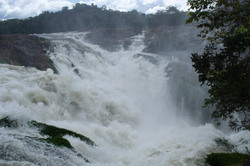 Waterfall on the river Caura, Venezuela