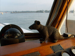 Fake rat on boat