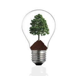 Bulb light with green tree inside isolated on white background
