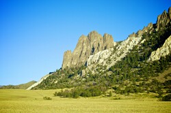 Massive cliff rock formation beyond the forest of the American west.
