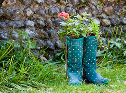 Pretty green wellington boots with flowers growing inside