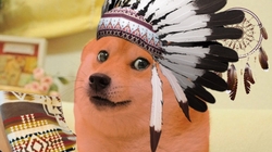 Indian doge