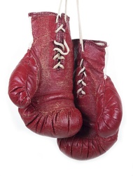 Pair of Boxing Gloves