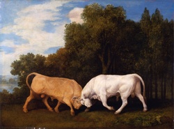 Bull Fight Vintage Art