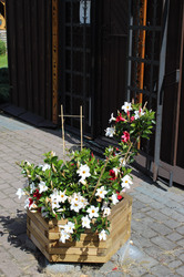 Flower arrangement in front of the entrance to the church.
