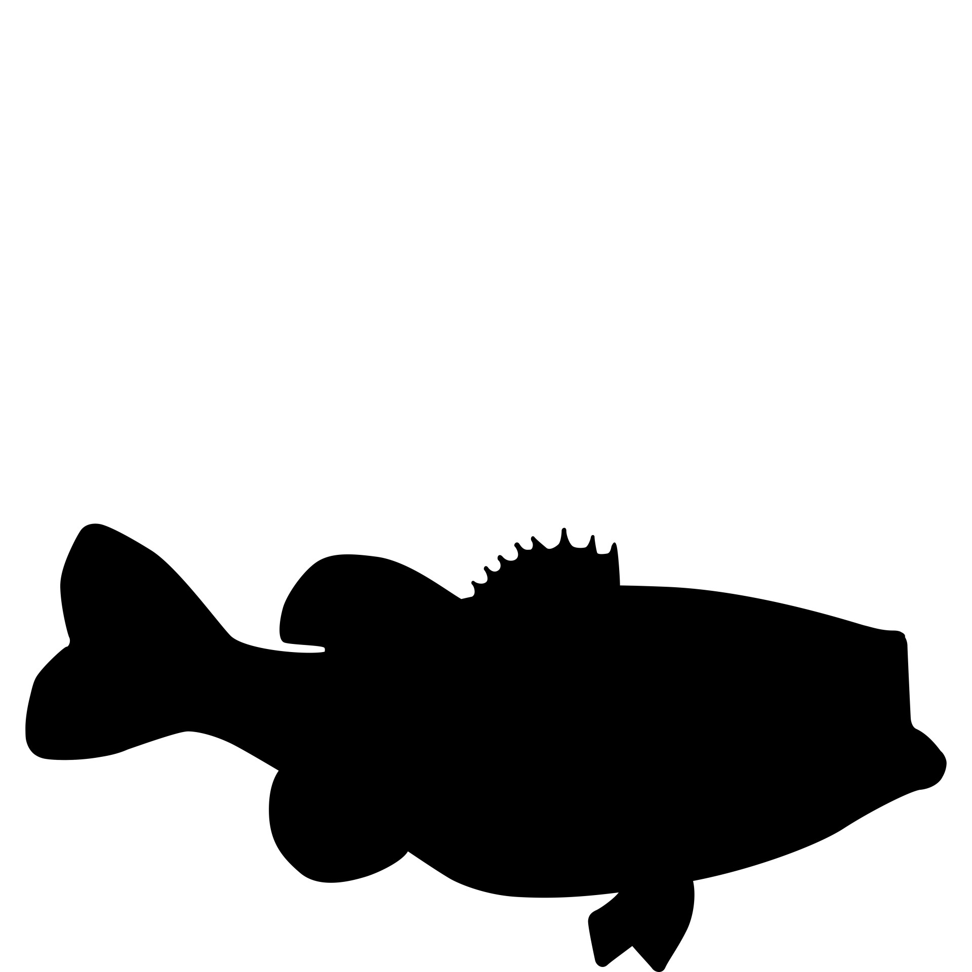 Silhouette of a sea bass on white