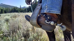 Cowboy Riding a Horse