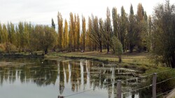 Pond in Mendoza, Argentina