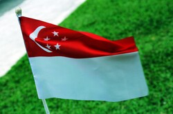 Singapore flag