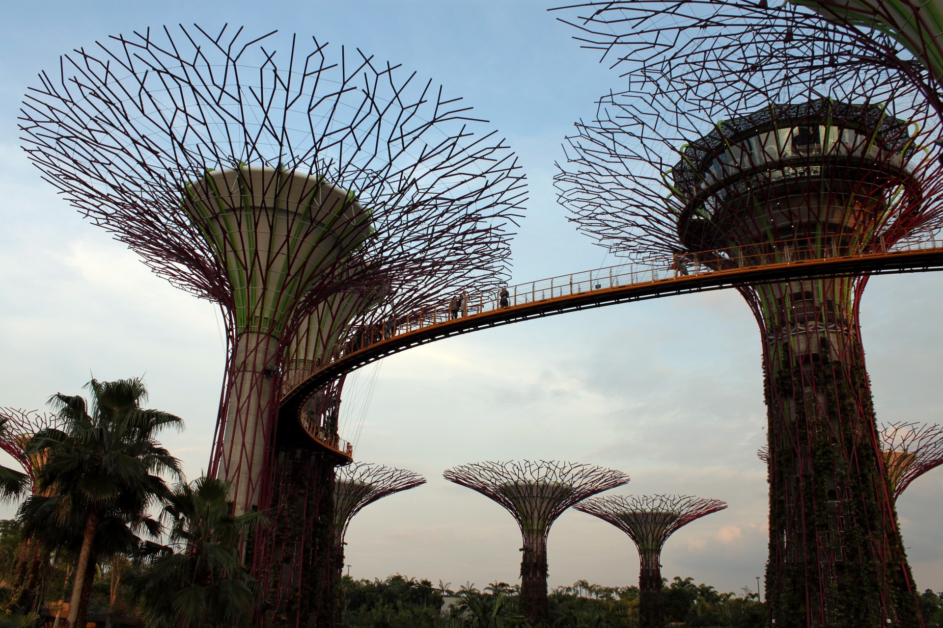 Singapore sky tree