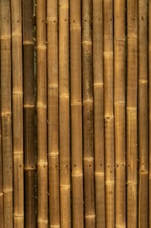 Brown bamboo patterned background