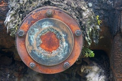 Fuzzy material and vegetation around rusted metal disk on old steam locomotive