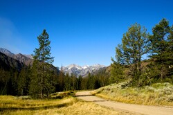 Gravel road into Wyoming forest.