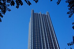 Skyscraper framed by tree branches and leaves.