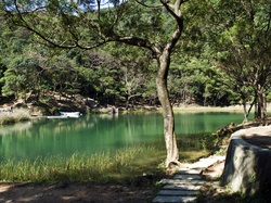 Taiwan Mountain Scenes