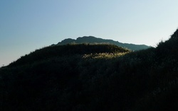 Taiwan Mountain Scenes