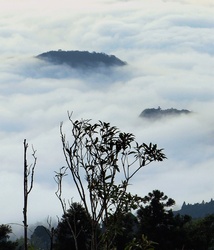 Islands in a sea of cloud, or mist