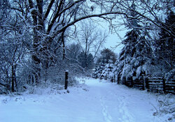 Just after a snow fall on an old farmer road.