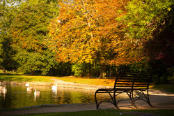 Autumn park