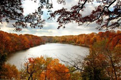 Lake surrounded by autumn trees