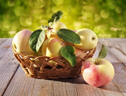 Basket full of apples