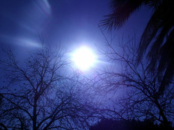 Blue sky and trees