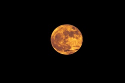 A big beautiful golden full moon on deep black night sky.