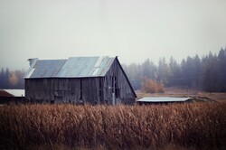 Old, ruined barn in a rural field.