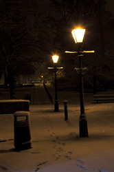 Lamps in a park at night in Harrogate in winter