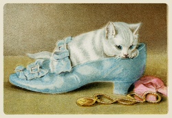 Vintage kitten cats art old antique public domain illustration poster postcard painting cute