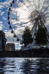 Wheel - Liverpool