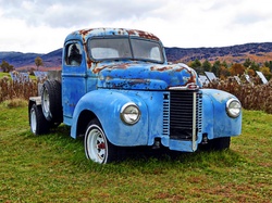 Old rusty blue pick up truck with fall foliage in background. Artistic effect applied