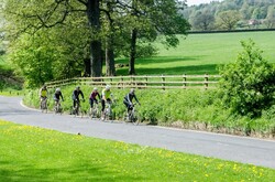 Group of riding bicycles on road in countryside